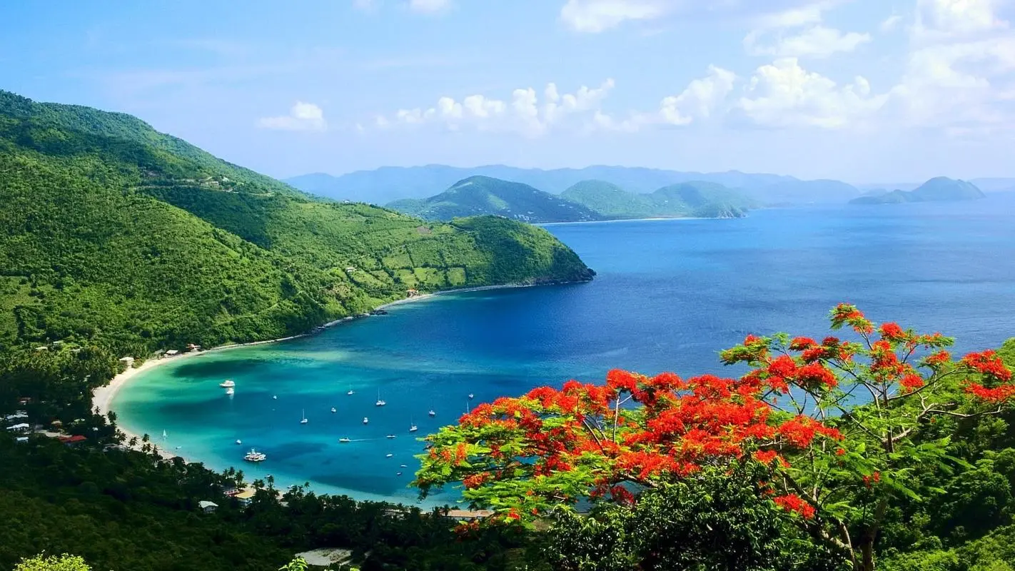 绿色节能高端